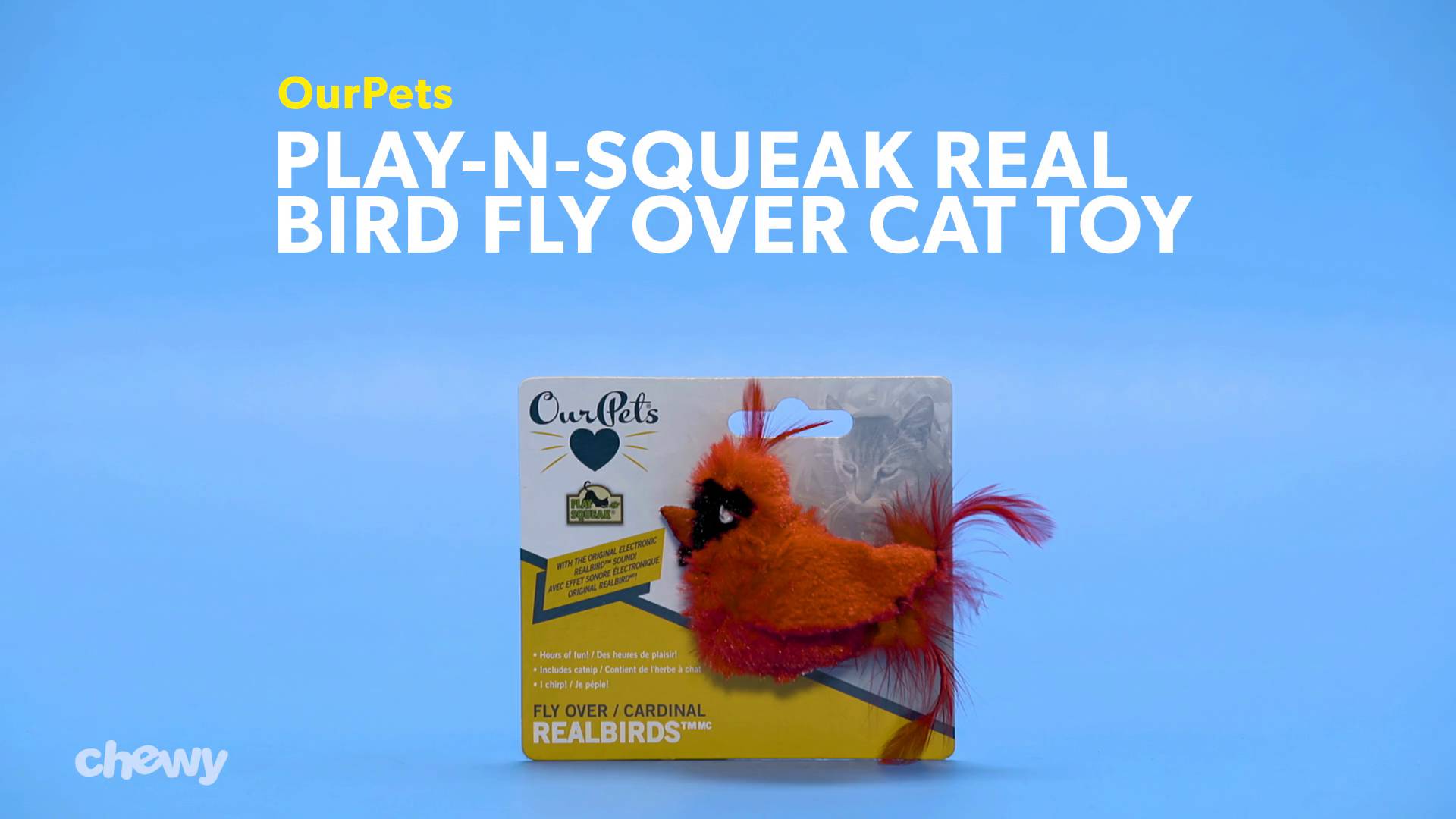 cardinal cat toy