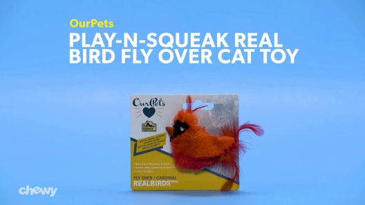 Play Video: Learn More About OurPets From Our Team of Experts