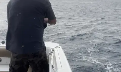 Great boat and captain, few fish