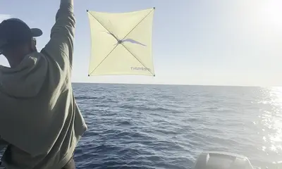 best capital with fantastic bait