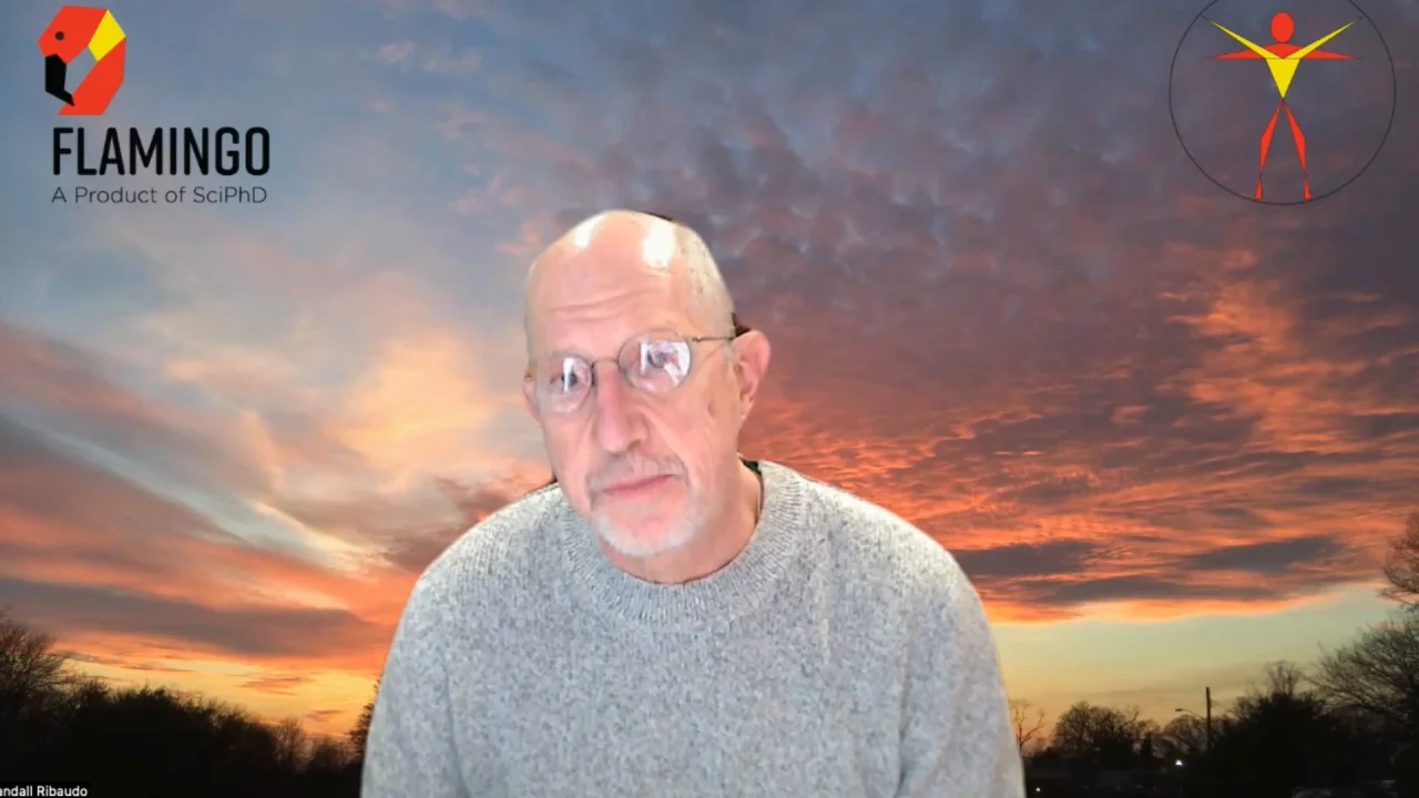 Flamingo Pro - SCIPHD
