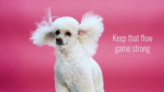 Play Video: Learn More About Totally Wags From Our Team of Experts