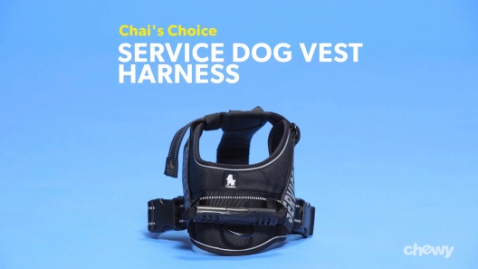 Chai's Choice Service Dog Harness