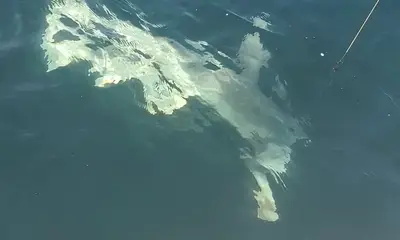 North Myrtle Beach Report Video 2