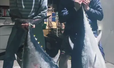 Cape Town Verslag Video 0