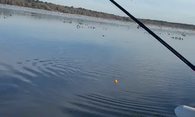 Interlachen Report Video 0