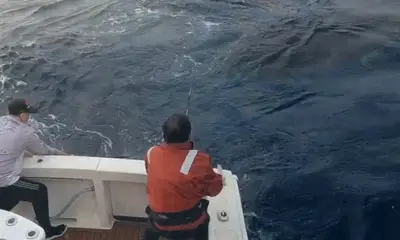 Sydney Report Video 0