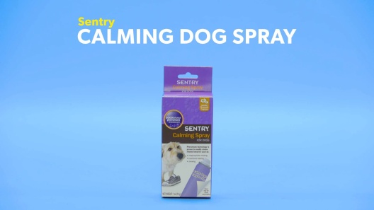 Sentry Calming Toy for Dogs (1 Count)