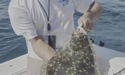 Virginia Beach Report Video 0