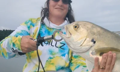 Gamboa Report Video 0