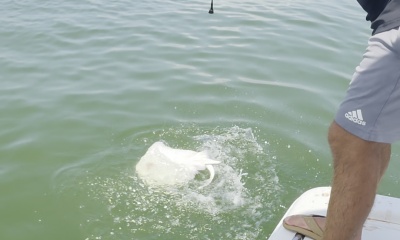 best fishing charter boat trip ever!