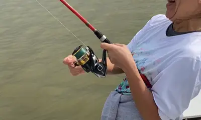 Texas City Report Video 0