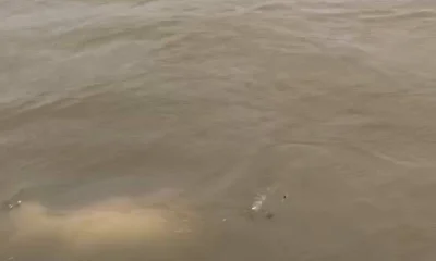 Galveston Report Video 0