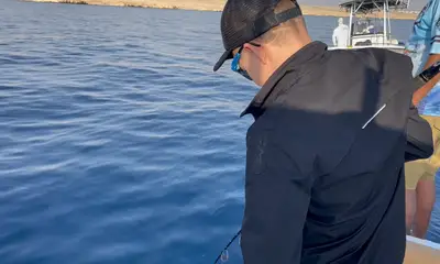 Great trip with plenty of action! 