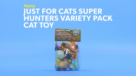 Hartz Just For Cats® 13 Piece Variety Pack Cat Toy