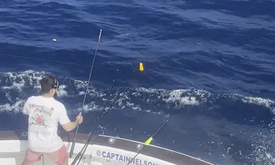 Miami-Dade County Report Video 2