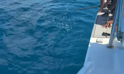 Carolina Beach Verslag Video 1