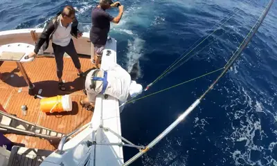 Sydney Report Video 0