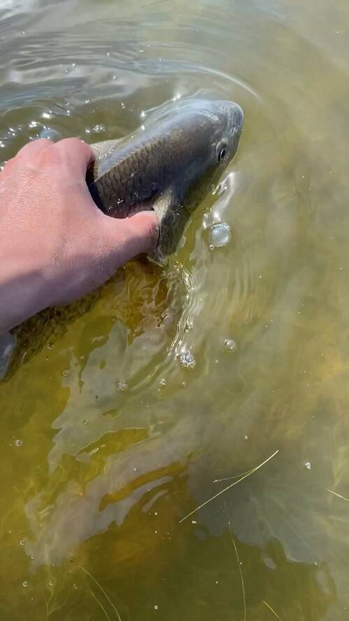 Captain Miguel’s Fishing Charters (Rio Hondo) Updated 2023 Prices FishingBooker