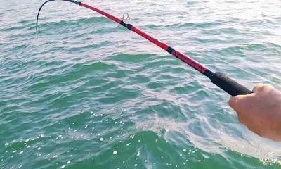 Puerto Vallarta Report Video 0