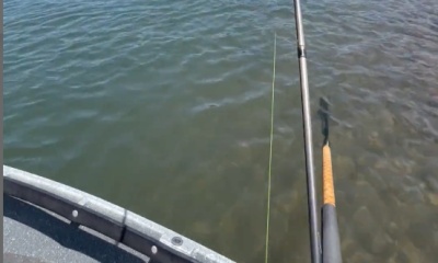 Willamette River Report Video 0
