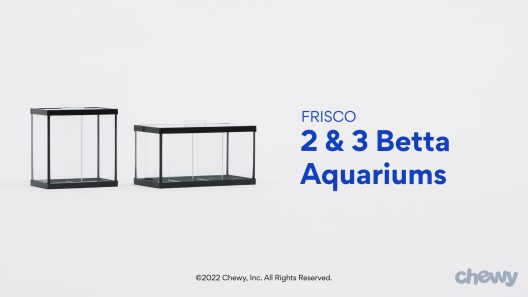 Play Video: Learn More About Frisco From Our Team of Experts