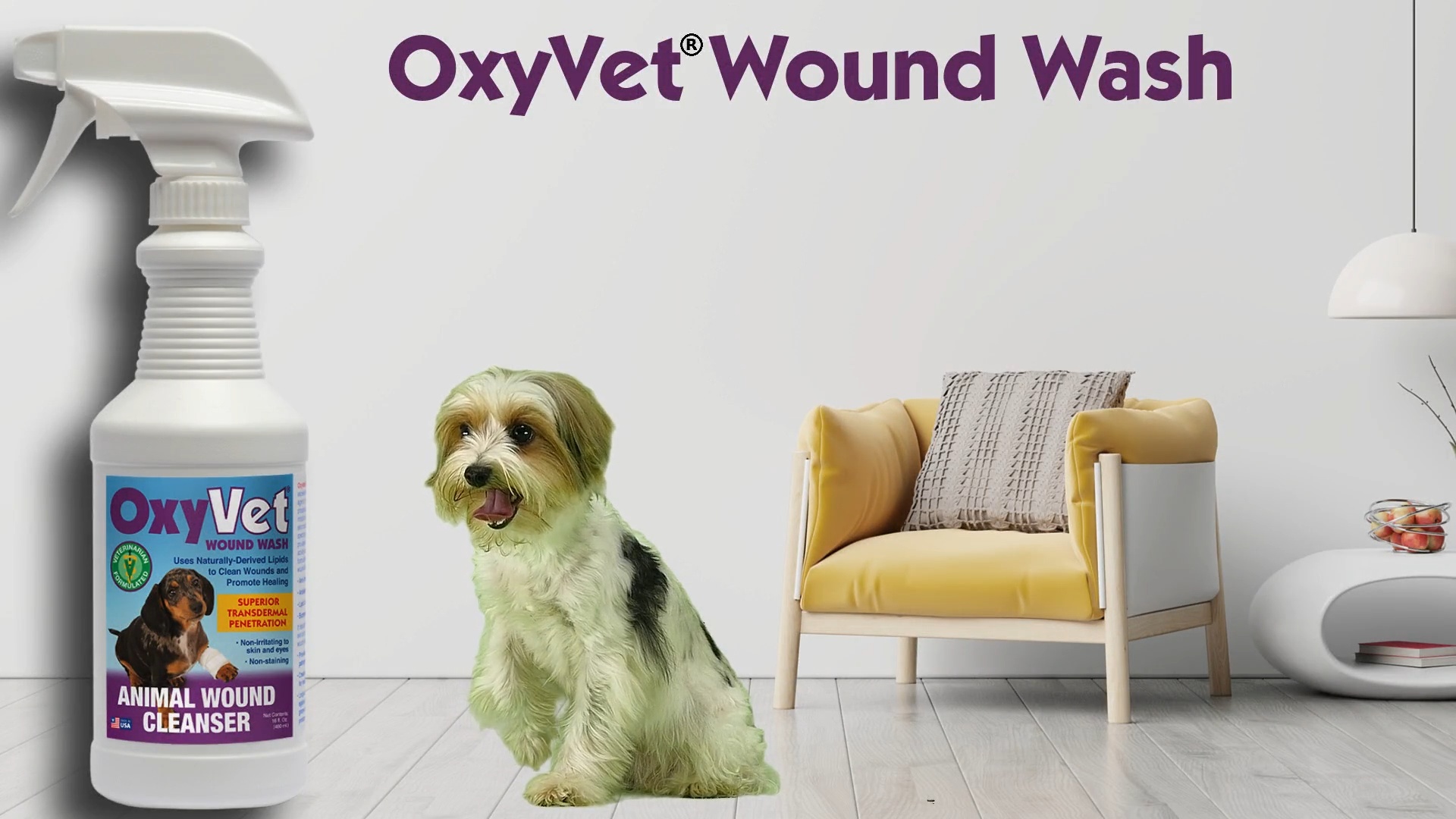 Wound cleanser store for dogs