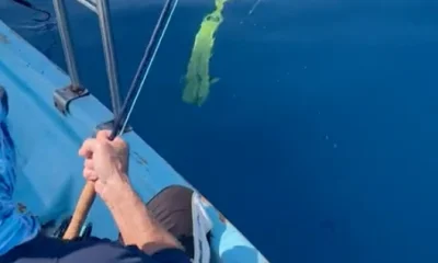 Sayulita Report Video 0