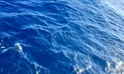 San Juan Report Video 0