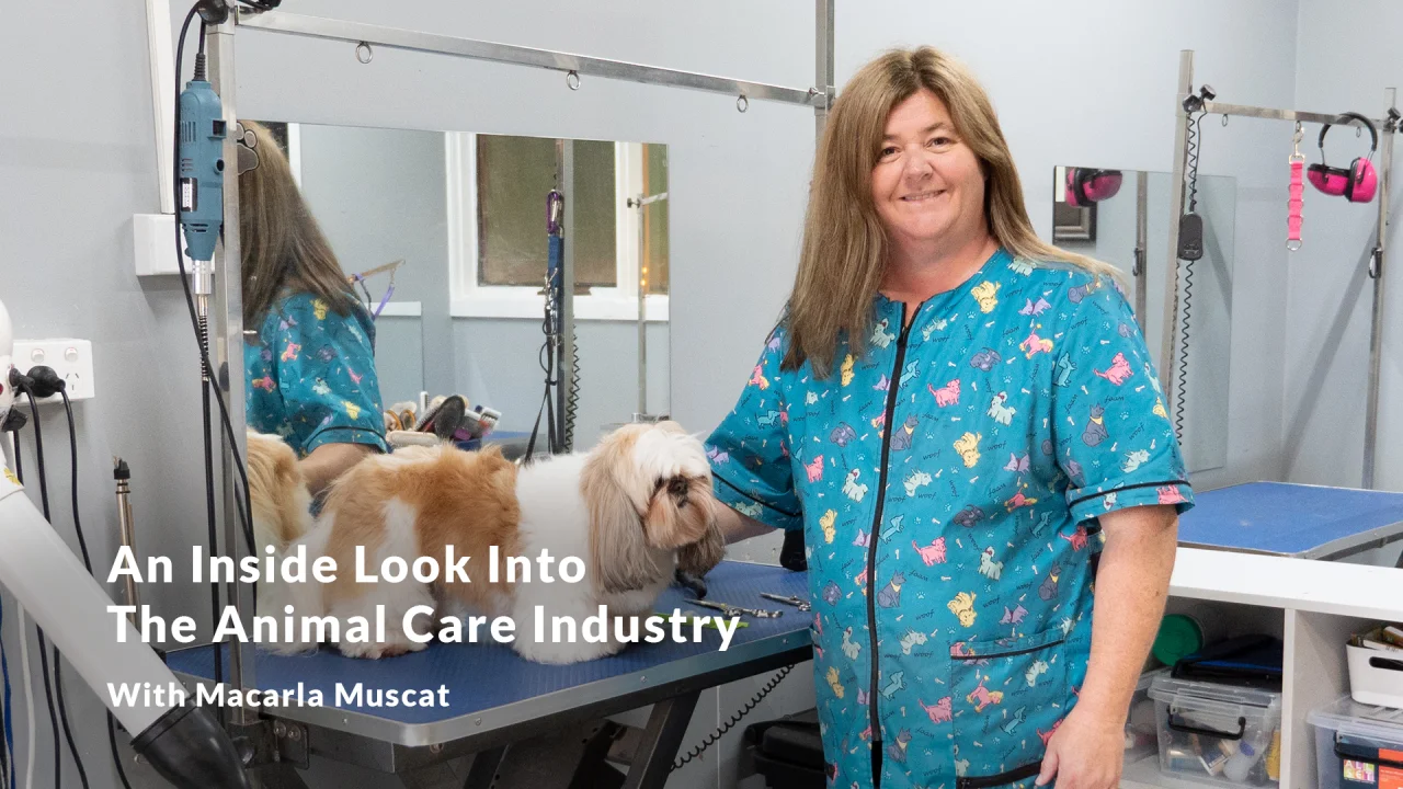 What is an Animal Carer and How Do You Become One? What is an Animal Carer and How Do You Become One?