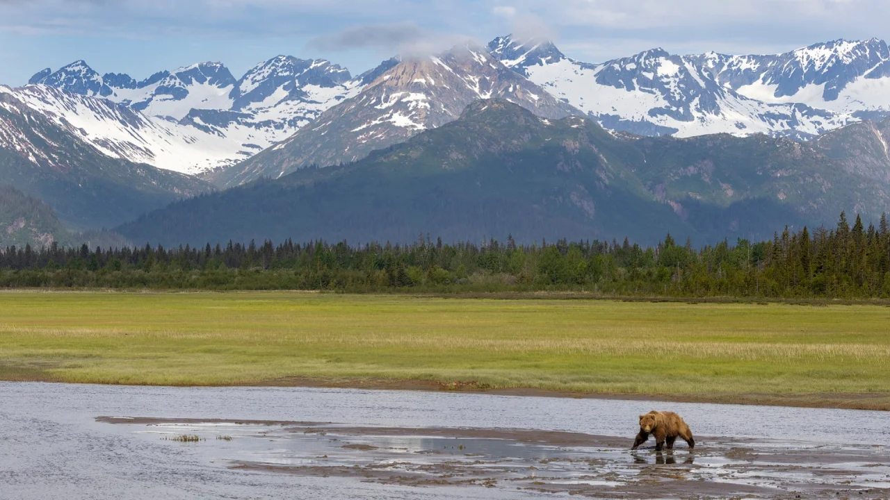 Natural Habitat Adventures  Alaska, Canada & Northern Adventures