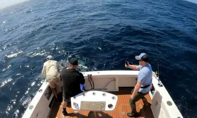 Sydney Report Video 0