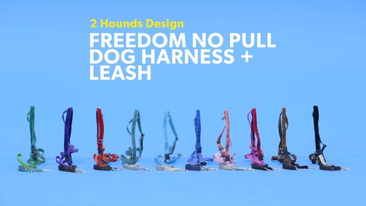 EarthStyle Designs 2 Hounds Design Freedom No Pull Dog Harness and Leash Adjustable Gentle Comfortable Control for Easy Dog Walking |for Small Medium and Large Dogs Made in USA