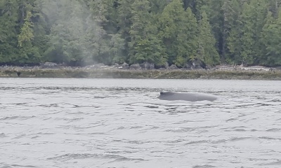 July fishing trip