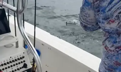 very knowledgable captain