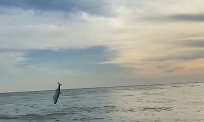 Fort Myers Report Video 0