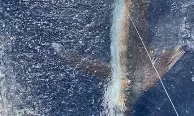 January fishing trip