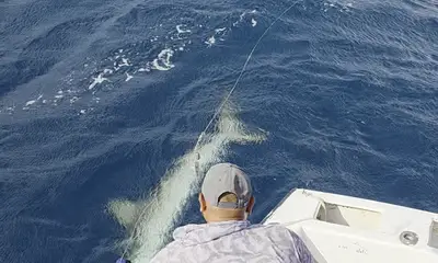 A dream fulfilled!