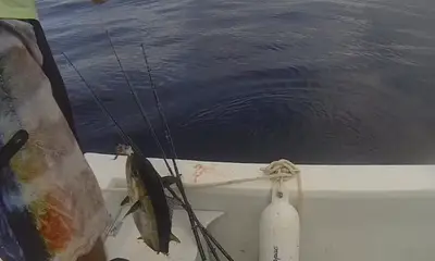 Roatan Report Video 0