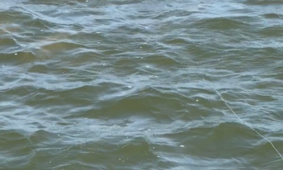 Flats fly fishing