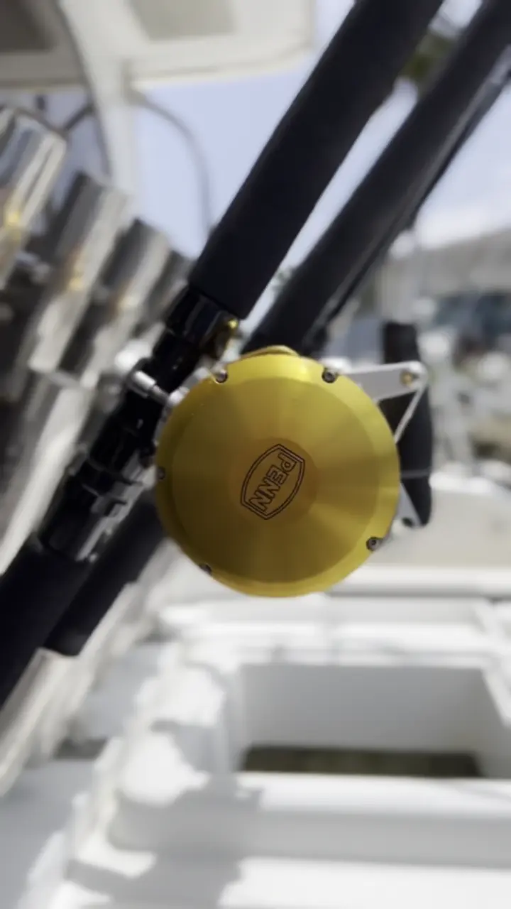 Business Card: Limitless Sportfishing