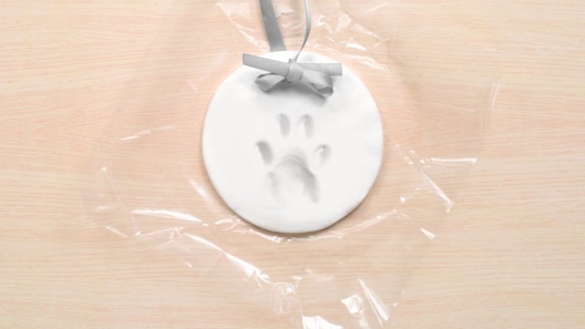 Pearhead Pet Pawprint Hanging DIY Keepsake Christmas Ornament, Dog or Cat  Clay Pawprint Art, Pet Owner Holiday, White