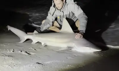 Indian Shores Report Video 1