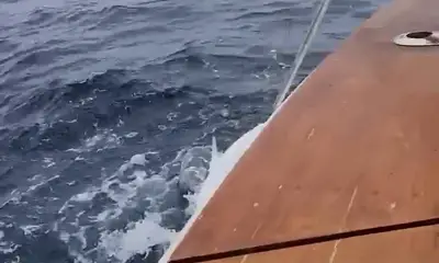 Catalina Island Report Video 2