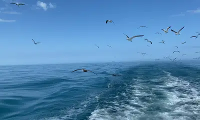 beautiful trip on the water
