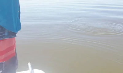 Port Sulphur Report Video 0
