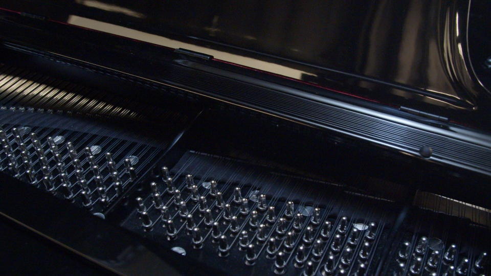 1910 Steinway Grand O Midnight Edition