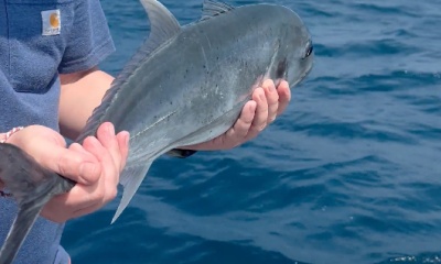 Malé Report Video 0