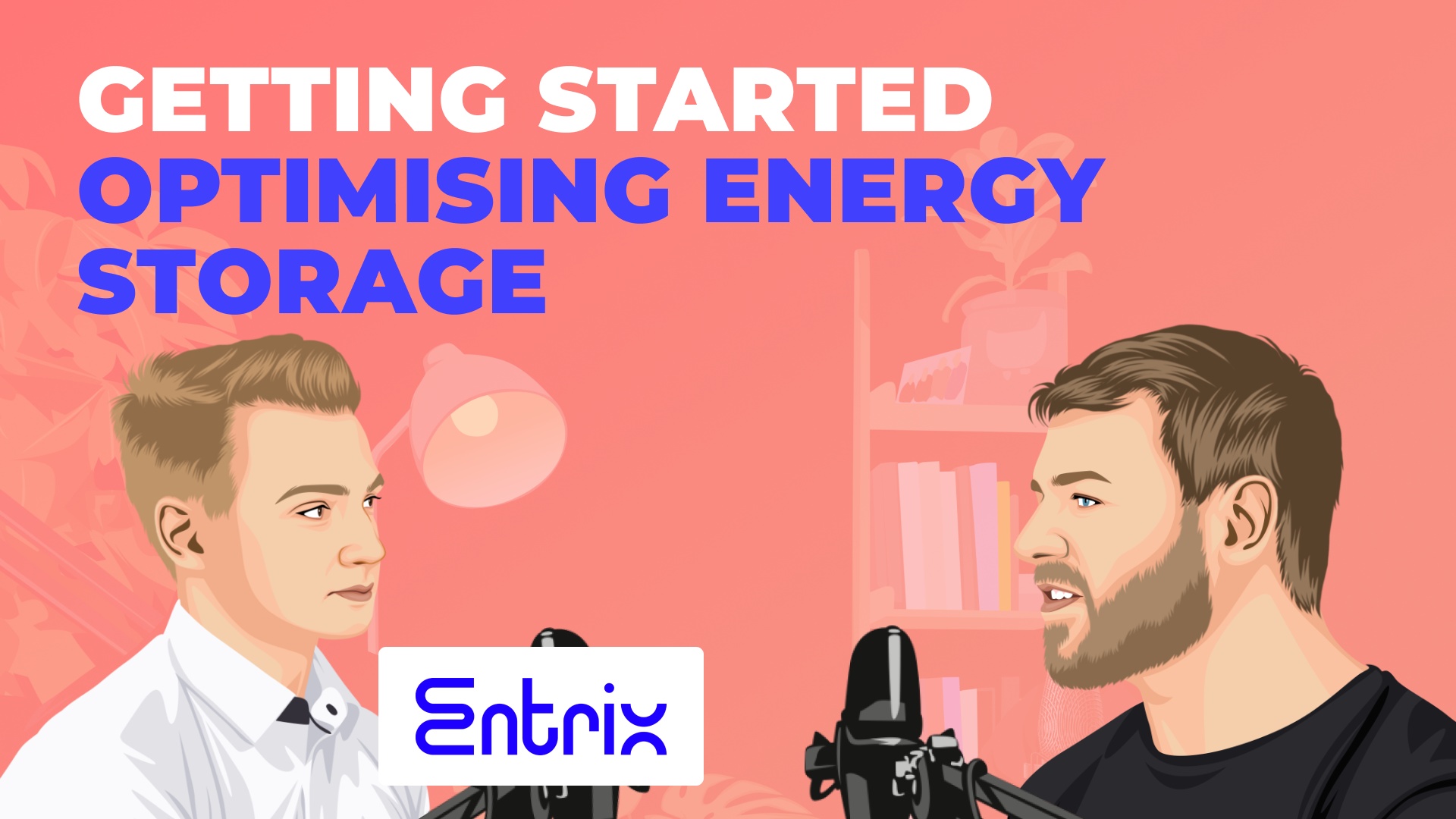 Entrix Shell Bess 09 - Entering the BESS optimisation space with Steffen Schülzchen ...