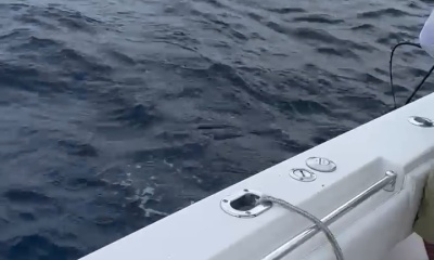 Best trip ever 
